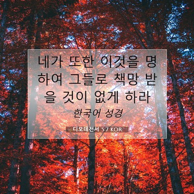Picture 07 - 디모데전서 5:7 KOR - 네가 또한 이것을 명하여 그들로 - Bible Verse Picture