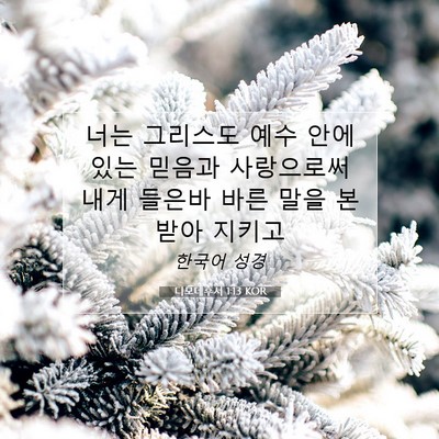 Picture 07 - 디모데후서 1:13 KOR - 너는 그리스도 예수 안에 있는 - Bible Verse Picture