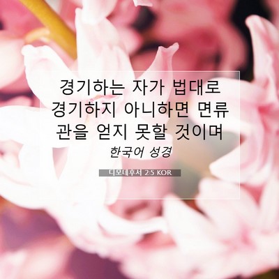 Picture 07 - 디모데후서 2:5 KOR - 경기하는 자가 법대로 경기하지 - Bible Verse Picture