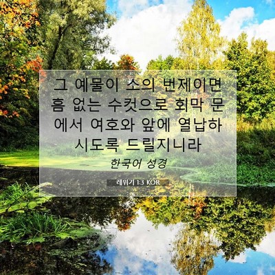 Picture 07 - 레위기 1:3 KOR - 그 예물이 소의 번제이면 흠 없는 - Bible Verse Picture