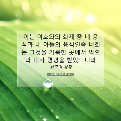 Picture 07 - 레위기 10:13 KOR - 이는 여호와의 화제 중 네 응식과 네 - Bible Verse Picture