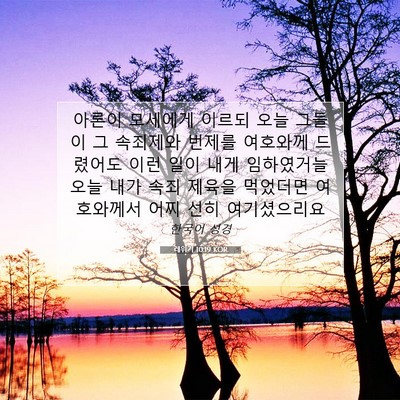 Picture 07 - 레위기 10:19 KOR - 아론이 모세에게 이르되 오늘 그들이 - Bible Verse Picture