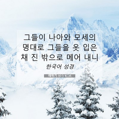Picture 07 - 레위기 10:5 KOR - 그들이 나아와 모세의 명대로 그들을 - Bible Verse Picture