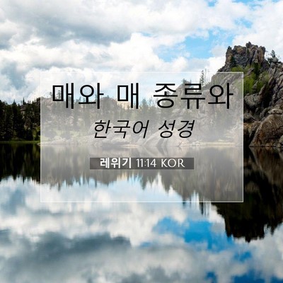 Picture 07 - 레위기 11:14 KOR - 매와 매 - Bible Verse Picture