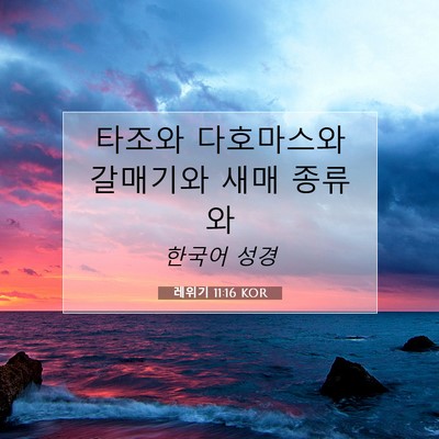 Picture 07 - 레위기 11:16 KOR - 타조와 다호마스와 갈매기와 새매 - Bible Verse Picture