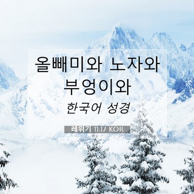 Picture 07 - 레위기 11:17 KOR - 올빼미와 노자와 - Bible Verse Picture