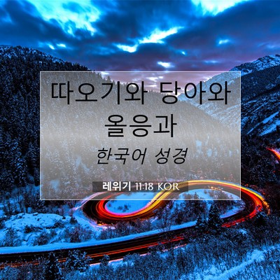 Picture 07 - 레위기 11:18 KOR - 따오기와 당아와 - Bible Verse Picture