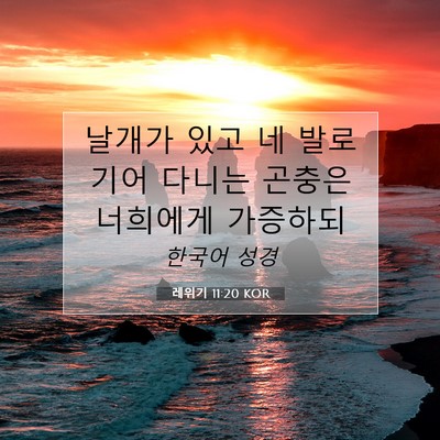 Picture 07 - 레위기 11:20 KOR - 날개가 있고 네 발로 기어 다니는 - Bible Verse Picture