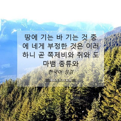 Picture 07 - 레위기 11:29 KOR - 땅에 기는 바 기는 것 중에 네게 - Bible Verse Picture
