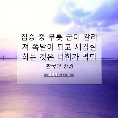 Picture 07 - 레위기 11:3 KOR - 짐승 중 무릇 굽이 갈라져 쪽발이 - Bible Verse Picture