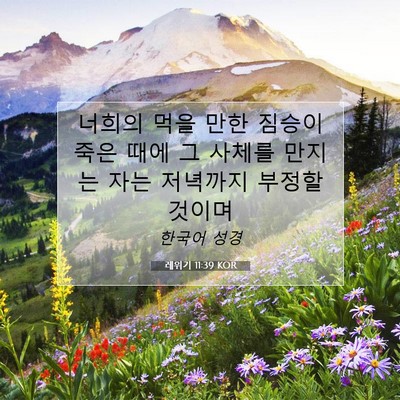 Picture 07 - 레위기 11:39 KOR - 너희의 먹을 만한 짐승이 죽은 때에 - Bible Verse Picture