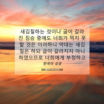 Picture 07 - 레위기 11:4 KOR - 새김질하는 것이나 굽이 갈라진 짐승 - Bible Verse Picture
