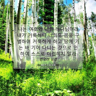Picture 07 - 레위기 11:44 KOR - 나는 여호와 너희 하나님이라 내가 - Bible Verse Picture