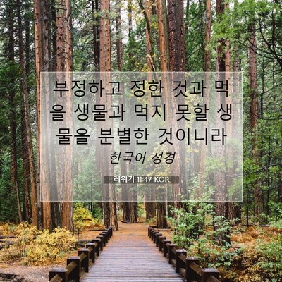 Picture 07 - 레위기 11:47 KOR - 부정하고 정한 것과 먹을 생물과 - Bible Verse Picture