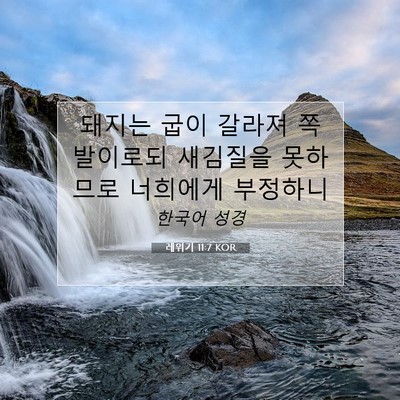Picture 07 - 레위기 11:7 KOR - 돼지는 굽이 갈라져 쪽발이로되 - Bible Verse Picture