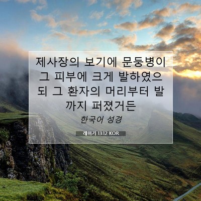 Picture 07 - 레위기 13:12 KOR - 제사장의 보기에 문둥병이 그 피부에 - Bible Verse Picture