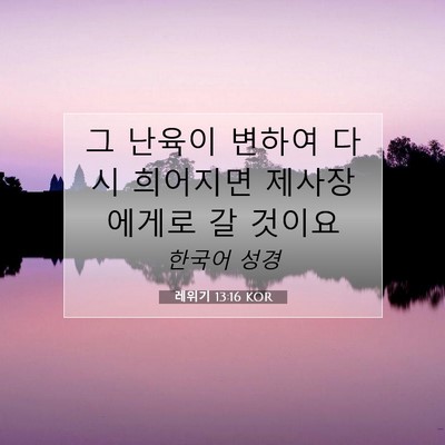 Picture 07 - 레위기 13:16 KOR - 그 난육이 변하여 다시 희어지면 - Bible Verse Picture