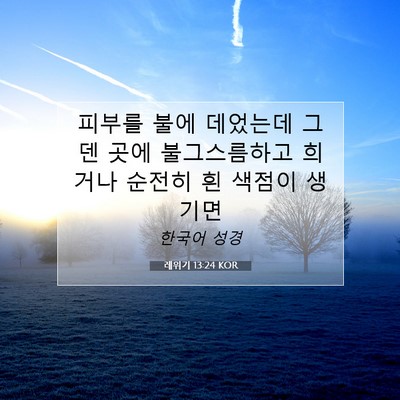Picture 07 - 레위기 13:24 KOR - 피부를 불에 데었는데 그 덴 곳에 - Bible Verse Picture