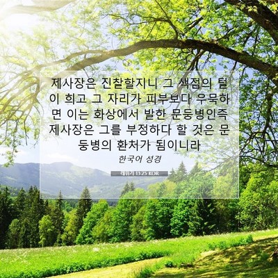 Picture 07 - 레위기 13:25 KOR - 제사장은 진찰할지니 그 색점의 털이 - Bible Verse Picture