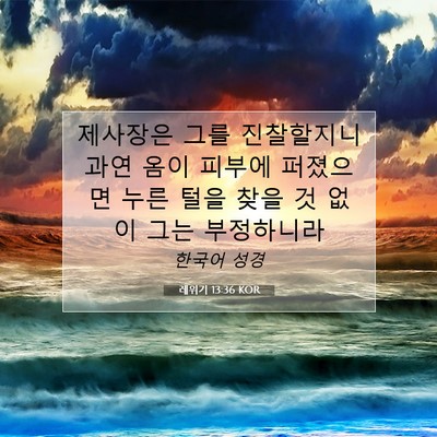 Picture 07 - 레위기 13:36 KOR - 제사장은 그를 진찰할지니 과연 옴이 - Bible Verse Picture