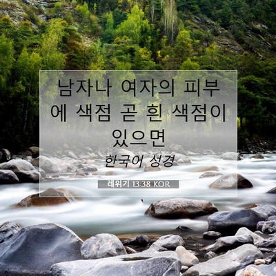 Picture 07 - 레위기 13:38 KOR - 남자나 여자의 피부에 색점 곧 흰 - Bible Verse Picture