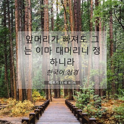 Picture 07 - 레위기 13:41 KOR - 앞머리가 빠져도 그는 이마 대머리니 - Bible Verse Picture