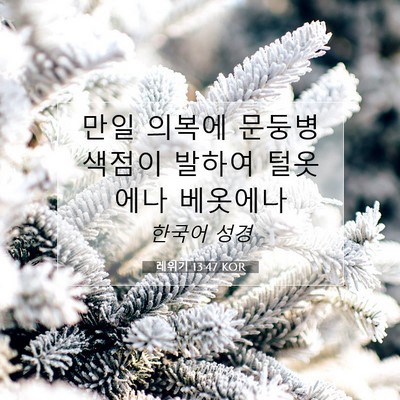 Picture 07 - 레위기 13:47 KOR - 만일 의복에 문둥병 색점이 발하여 - Bible Verse Picture