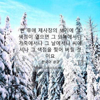 Picture 07 - 레위기 13:56 KOR - 빤 후에 제사장의 보기에 그 색점이 - Bible Verse Picture