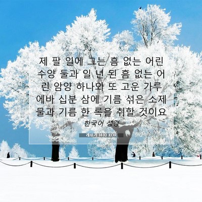 Picture 07 - 레위기 14:10 KOR - 제 팔 일에 그는 흠 없는 어린 수양 - Bible Verse Picture