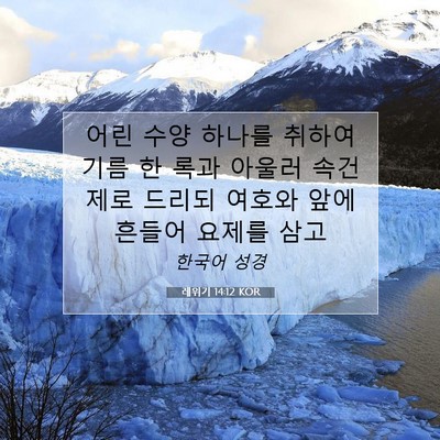 Picture 07 - 레위기 14:12 KOR - 어린 수양 하나를 취하여 기름 한 - Bible Verse Picture