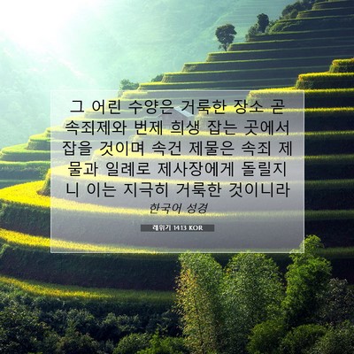 Picture 07 - 레위기 14:13 KOR - 그 어린 수양은 거룩한 장소 곧 - Bible Verse Picture