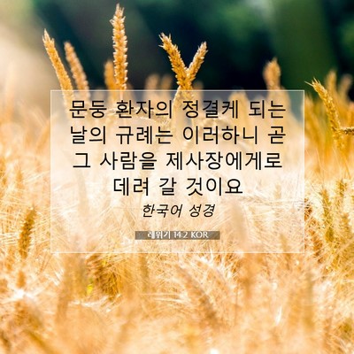 Picture 07 - 레위기 14:2 KOR - 문둥 환자의 정결케 되는 날의 - Bible Verse Picture