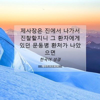 Picture 07 - 레위기 14:3 KOR - 제사장은 진에서 나가서 진찰할지니 - Bible Verse Picture