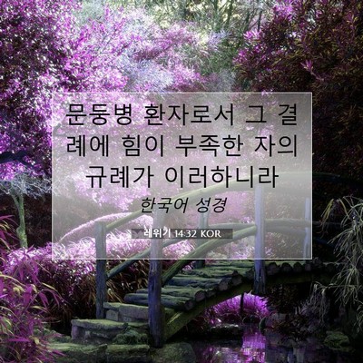 Picture 07 - 레위기 14:32 KOR - 문둥병 환자로서 그 결례에 힘이 - Bible Verse Picture
