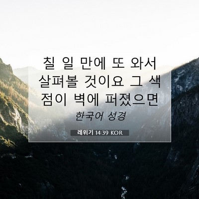 Picture 07 - 레위기 14:39 KOR - 칠 일 만에 또 와서 살펴볼 것이요 그 - Bible Verse Picture