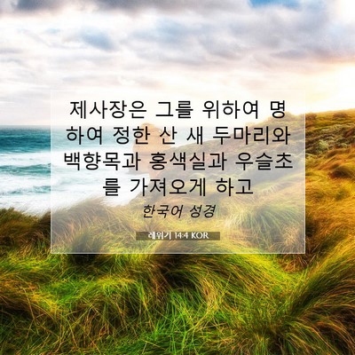 Picture 07 - 레위기 14:4 KOR - 제사장은 그를 위하여 명하여 정한 - Bible Verse Picture