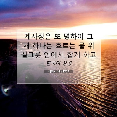 Picture 07 - 레위기 14:5 KOR - 제사장은 또 명하여 그 새 하나는 - Bible Verse Picture