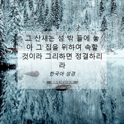 Picture 07 - 레위기 14:53 KOR - 그 산새는 성 밖 들에 놓아 그 집을 - Bible Verse Picture