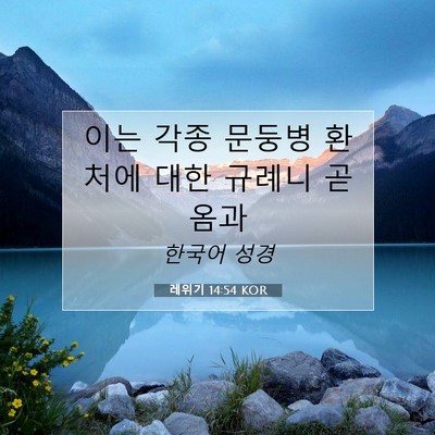 Picture 07 - 레위기 14:54 KOR - 이는 각종 문둥병 환처에 대한 - Bible Verse Picture