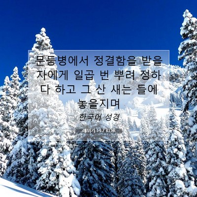 Picture 07 - 레위기 14:7 KOR - 문둥병에서 정결함을 받을 자에게 - Bible Verse Picture