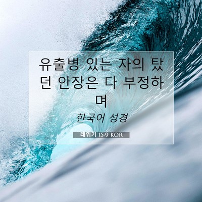Picture 07 - 레위기 15:9 KOR - 유출병 있는 자의 탔던 안장은 다 - Bible Verse Picture