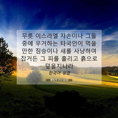 Picture 07 - 레위기 17:13 KOR - 무릇 이스라엘 자손이나 그들 중에 - Bible Verse Picture