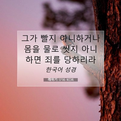 Picture 07 - 레위기 17:16 KOR - 그가 빨지 아니하거나 몸을 물로 - Bible Verse Picture