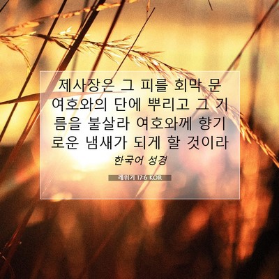 Picture 07 - 레위기 17:6 KOR - 제사장은 그 피를 회막 문 여호와의 - Bible Verse Picture