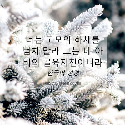 Picture 07 - 레위기 18:12 KOR - 너는 고모의 하체를 범치 말라 그는 - Bible Verse Picture