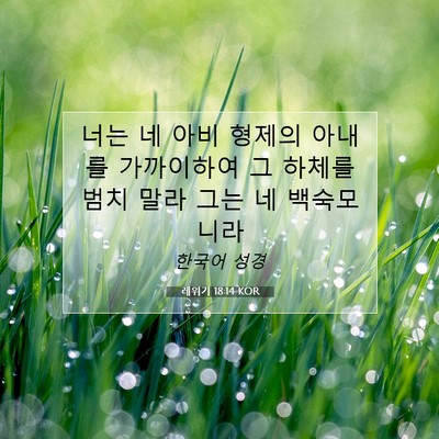 Picture 07 - 레위기 18:14 KOR - 너는 네 아비 형제의 아내를 - Bible Verse Picture