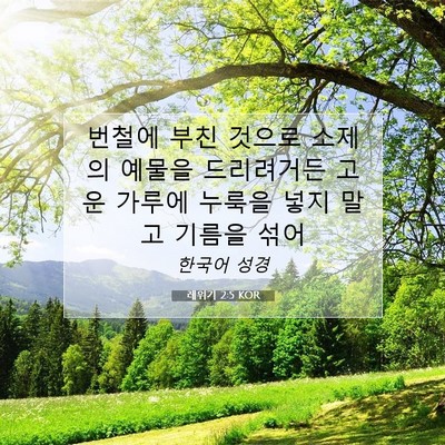 Picture 07 - 레위기 2:5 KOR - 번철에 부친 것으로 소제의 예물을 - Bible Verse Picture