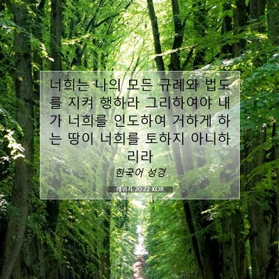 Picture 07 - 레위기 20:22 KOR - 너희는 나의 모든 규례와 법도를 - Bible Verse Picture