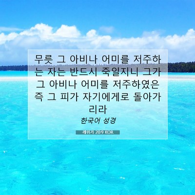 Picture 07 - 레위기 20:9 KOR - 무릇 그 아비나 어미를 저주하는 - Bible Verse Picture