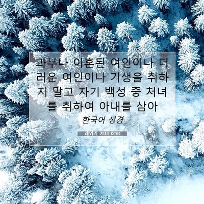 Picture 07 - 레위기 21:14 KOR - 과부나 이혼된 여인이나 더러운 - Bible Verse Picture